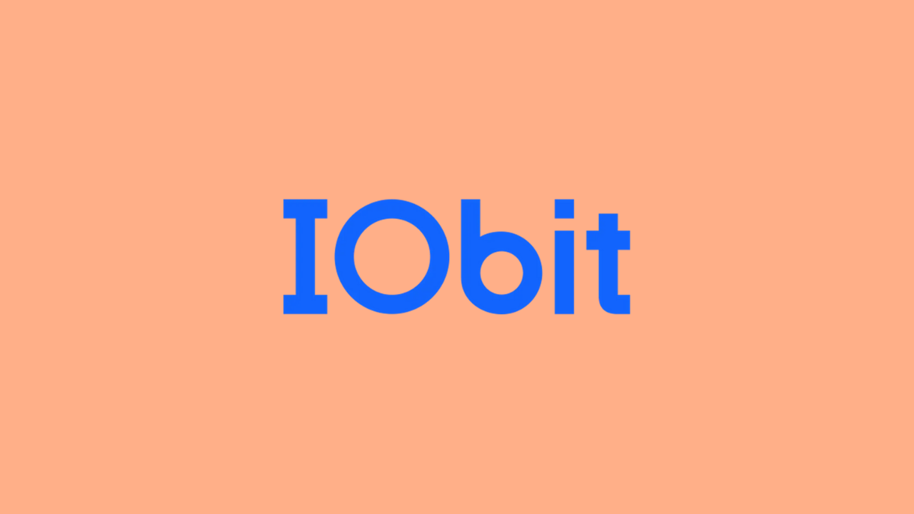 iobit large files finder