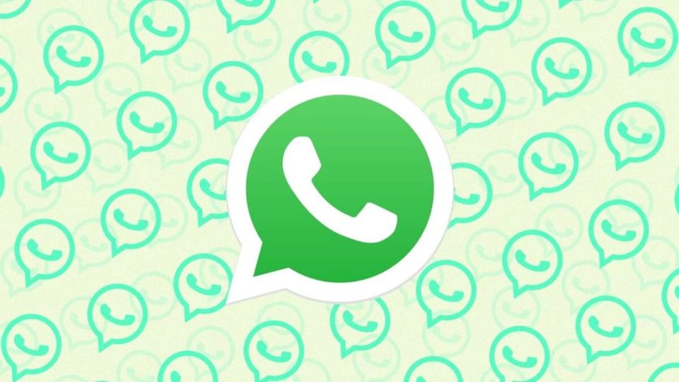 WhatsApp cresce e si rinnova ancora Ecco le sette novità dell'applicazione  - Cronaca