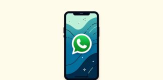 whatsapp testa le anteprime per i messaggi fissati (2)