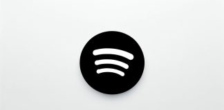 spotify rivoluzione per la funzione smart shuffle