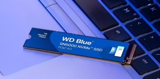 wd blue sn5000 nuovi ssd pcie 4.0 per prestazioni elevate (2)