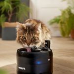 philips, soluzioni smart per animali domestici