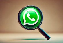 whatsapp introduce la ricerca google per le immagini (2)